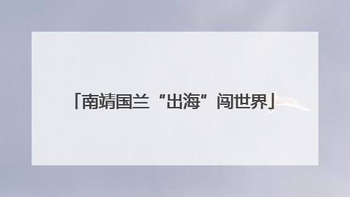 南靖国兰“出海”闯世界