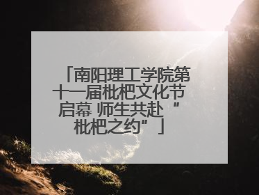 南阳理工学院第十一届枇杷文化节启幕 师生共赴“枇杷之约”