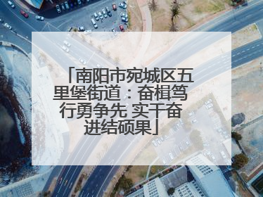 南阳市宛城区五里堡街道：奋楫笃行勇争先 实干奋进结硕果