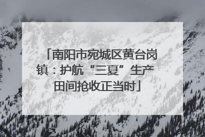 南阳市宛城区黄台岗镇：护航“三夏”生产 田间抢收正当时