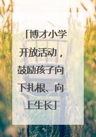 博才小学开放活动，鼓励孩子向下扎根、向上生长