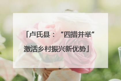 卢氏县：“四措并举”激活乡村振兴新优势