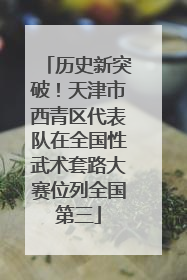 历史新突破！天津市西青区代表队在全国性武术套路大赛位列全国第三