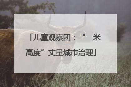 儿童观察团：“一米高度”丈量城市治理