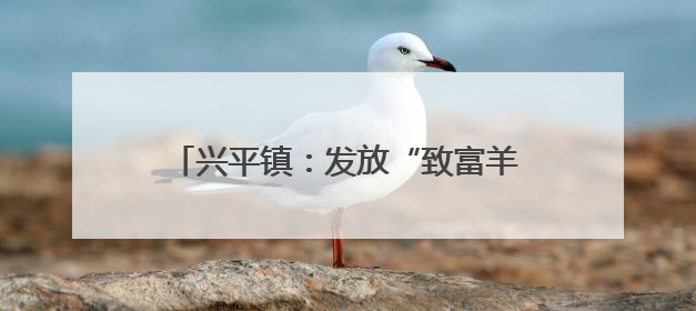 兴平镇：发放“致富羊”助力乡村振兴启新程