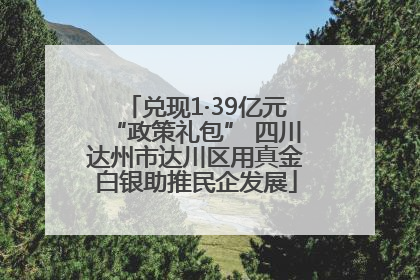 兑现1·39亿元“政策礼包” 四川达州市达川区用真金白银助推民企发展