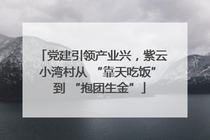 党建引领产业兴，紫云小湾村从 “靠天吃饭” 到 “抱团生金”