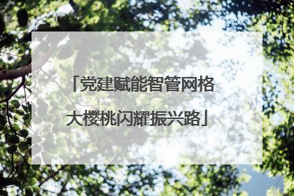 党建赋能智管网格 大樱桃闪耀振兴路
