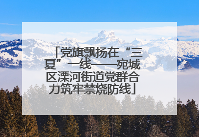 党旗飘扬在“三夏”一线——宛城区溧河街道党群合力筑牢禁烧防线