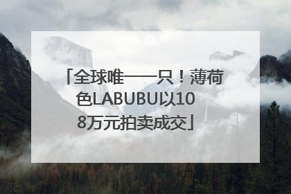 全球唯一一只！薄荷色LABUBU以108万元拍卖成交