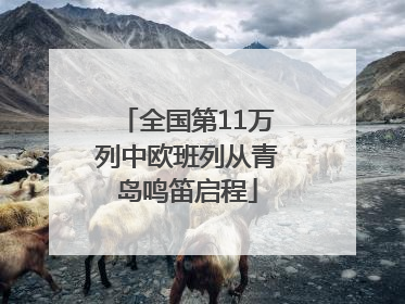 全国第11万列中欧班列从青岛鸣笛启程