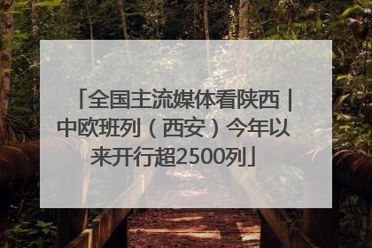 全国主流媒体看陕西｜中欧班列（西安）今年以来开行超2500列