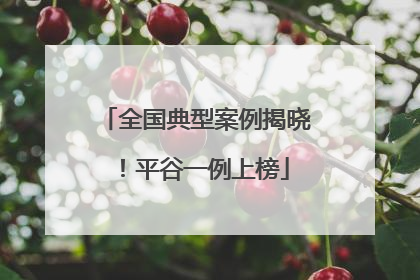 全国典型案例揭晓！平谷一例上榜