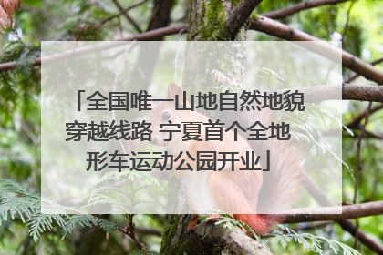 全国唯一山地自然地貌穿越线路 宁夏首个全地形车运动公园开业