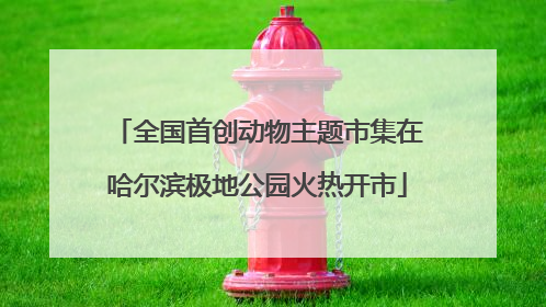 全国首创动物主题市集在哈尔滨极地公园火热开市