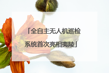 全自主无人机巡检系统首次亮相夷陵