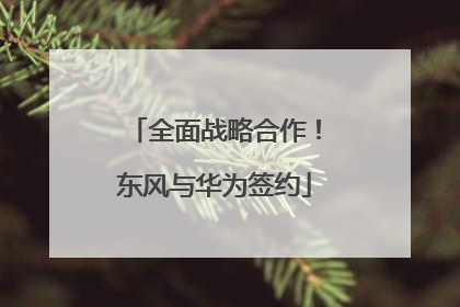 全面战略合作！东风与华为签约
