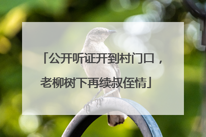 公开听证开到村门口，老柳树下再续叔侄情
