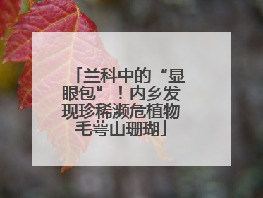 兰科中的“显眼包”！内乡发现珍稀濒危植物毛萼山珊瑚
