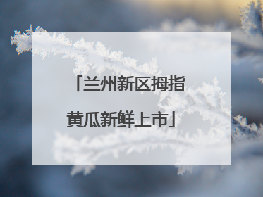 兰州新区拇指黄瓜新鲜上市