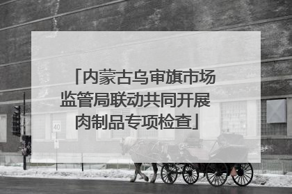 内蒙古乌审旗市场监管局联动共同开展肉制品专项检查