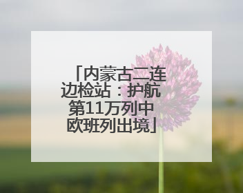 内蒙古二连边检站：护航第11万列中欧班列出境