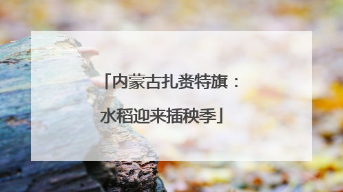 内蒙古扎赉特旗：水稻迎来插秧季