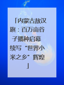 内蒙古敖汉旗：百万亩谷子播种启幕 续写“世界小米之乡”辉煌