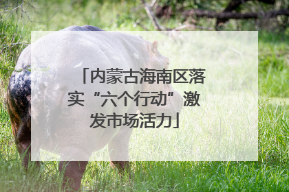 内蒙古海南区落实“六个行动”激发市场活力
