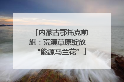 内蒙古鄂托克前旗：荒漠草原绽放“能源马兰花”