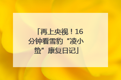 再上央视！16分钟看雪豹“凌小蛰”康复日记
