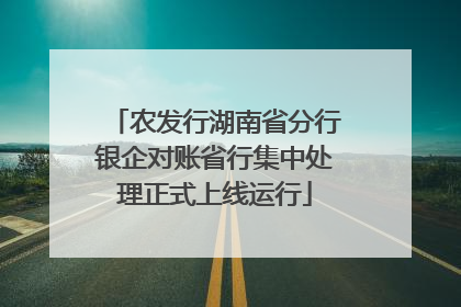 农发行湖南省分行银企对账省行集中处理正式上线运行