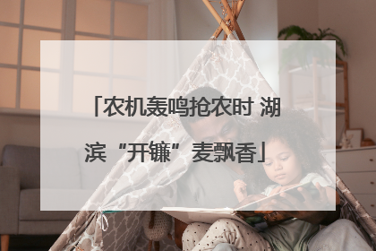 农机轰鸣抢农时 湖滨“开镰”麦飘香