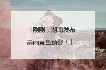 刚刚，湖南发布暴雨黄色预警！