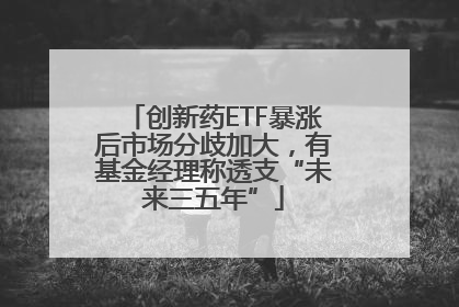 创新药ETF暴涨后市场分歧加大，有基金经理称透支“未来三五年”