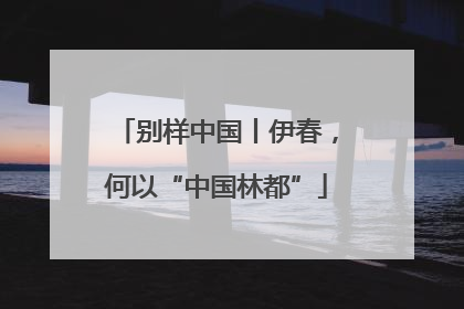 别样中国丨伊春，何以“中国林都”