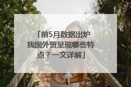 前5月数据出炉 我国外贸呈现哪些特点？一文详解