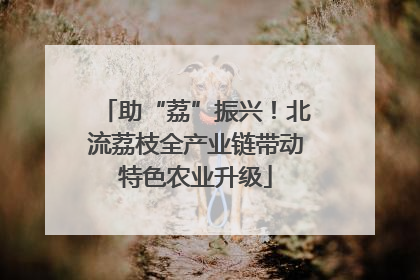 助“荔”振兴！北流荔枝全产业链带动特色农业升级