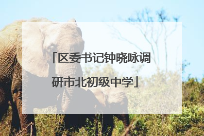 区委书记钟晓咏调研市北初级中学