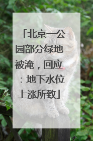 北京一公园部分绿地被淹，回应：地下水位上涨所致