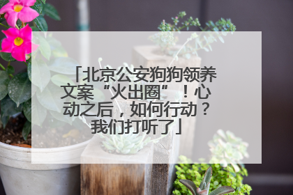 北京公安狗狗领养文案“火出圈”！心动之后，如何行动？我们打听了