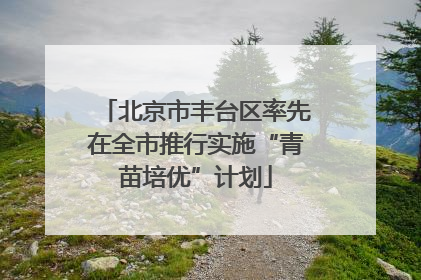 北京市丰台区率先在全市推行实施“青苗培优”计划