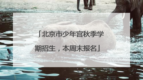 北京市少年宫秋季学期招生，本周末报名
