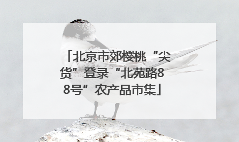 北京市郊樱桃“尖货”登录“北苑路88号”农产品市集