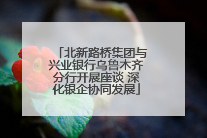 北新路桥集团与兴业银行乌鲁木齐分行开展座谈 深化银企协同发展