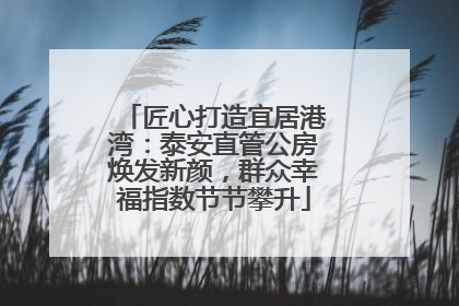 匠心打造宜居港湾：泰安直管公房焕发新颜，群众幸福指数节节攀升