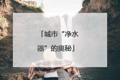 城市“净水器”的奥秘