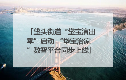 垡头街道“垡宝演出季”启动 “垡宝治家”数智平台同步上线