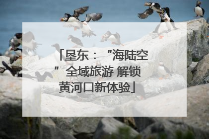 垦东：“海陆空”全域旅游 解锁黄河口新体验