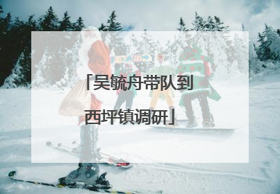 吴毓舟带队到西坪镇调研